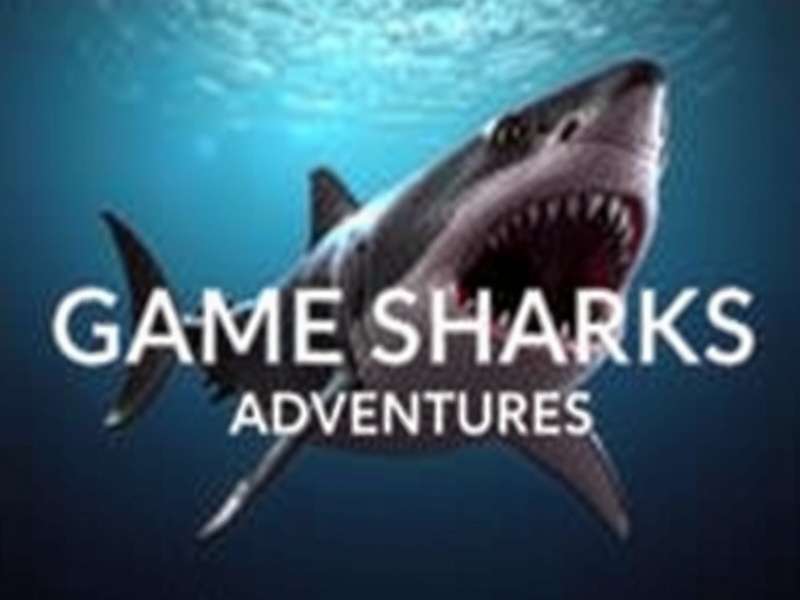 Group adventure activity in mountains